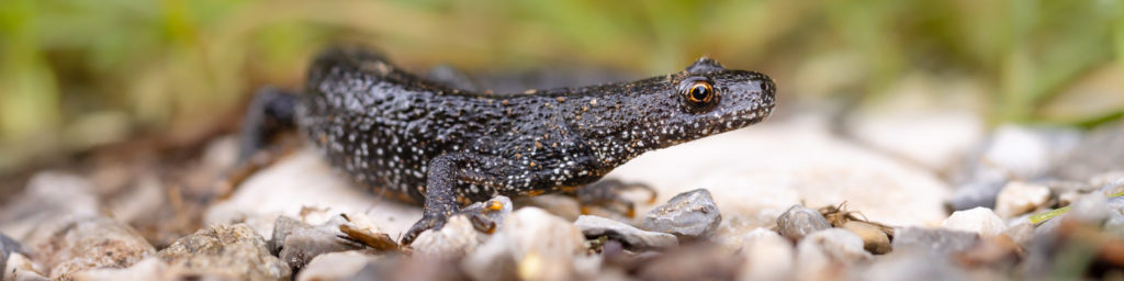 Weiter zu Wissenschaft und Forschung