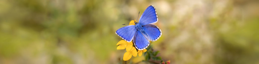 Weiter zu unseren Referenzen
