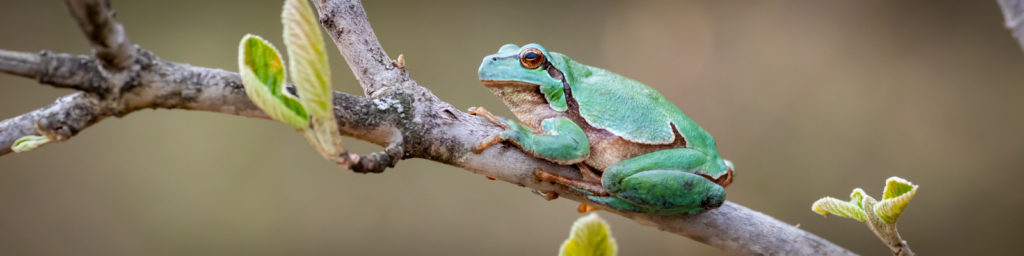 Weiter zu unseren Leistungen