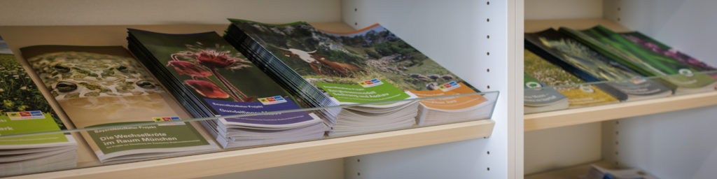 Weiter zu Layout und Gestaltung