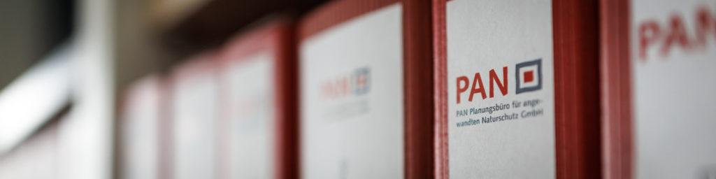 Weiter zu den Publikationen und Downloads