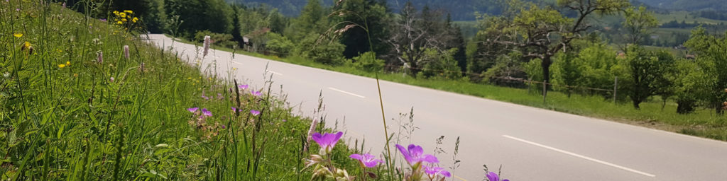 Weiter zur Landschaftsplanung